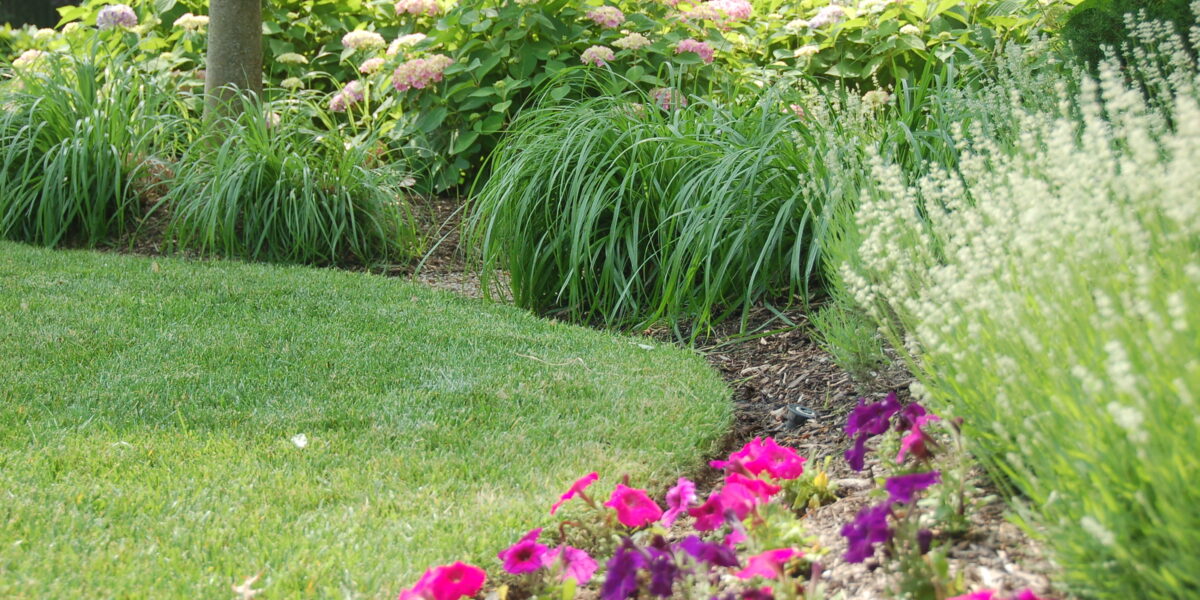 plant care and maintenance westfield nj