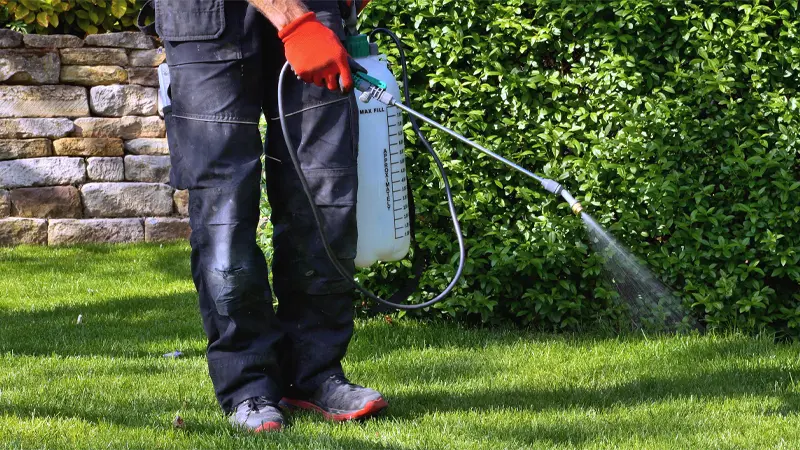 professional spraying pesticide on lawn