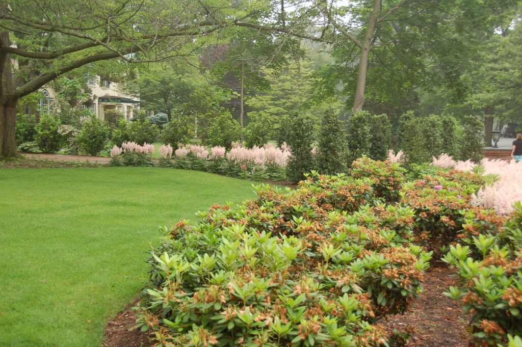 Organic Lawn Care Strategies westfield nj