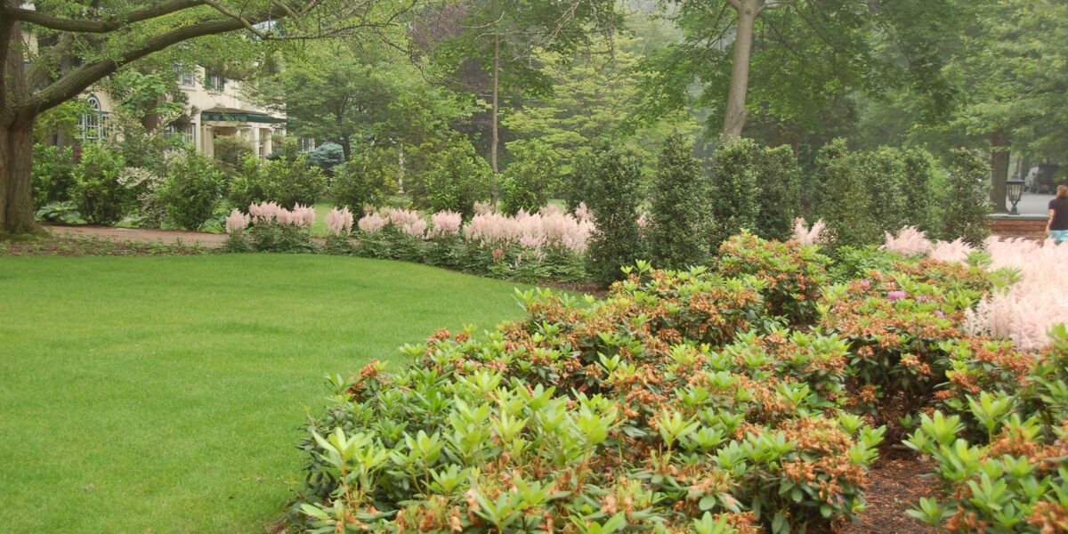 Organic Lawn Care Strategies westfield nj