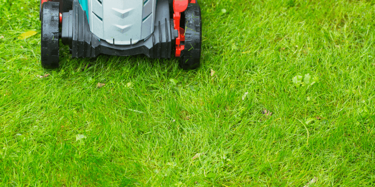 Electric lawn mower on lush green grass, representing eco-friendly lawn care services by Scape-Abilities, emphasizing quiet and clean maintenance.