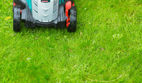 Eco-friendly lawn mower on lush green grass, highlighting quiet lawn care solutions for peaceful and pet-friendly maintenance.