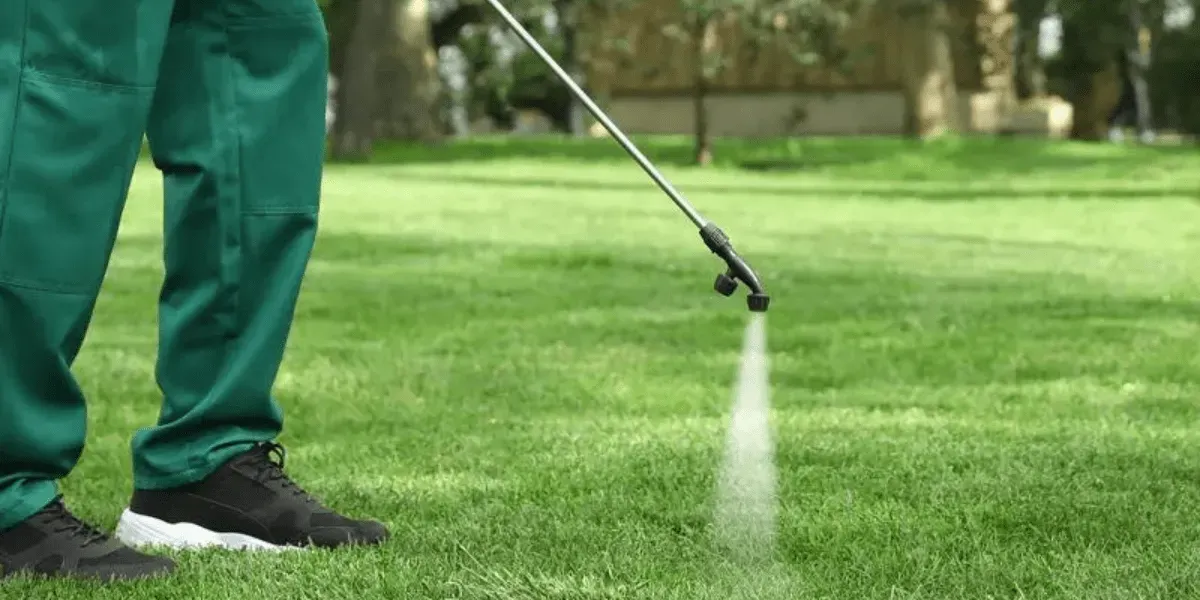 Professional aerating a healthy lawn to improve growth