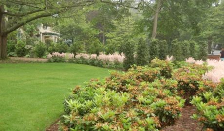 Lush green lawn with flowering shrubs and trees in a landscaped garden.