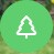 box-tree