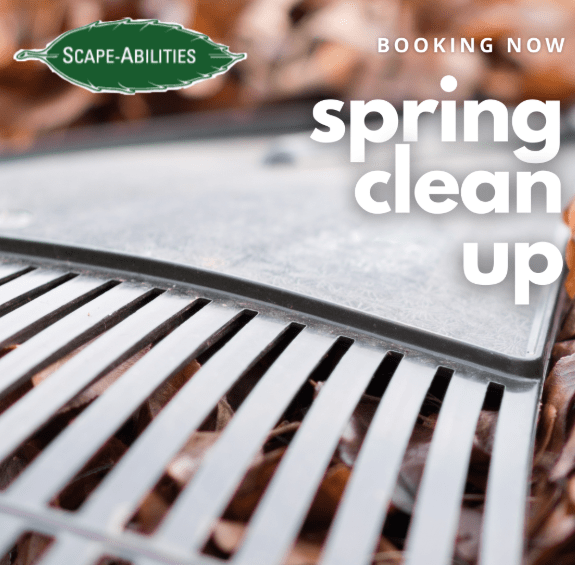 new jersey lawn spring clean up